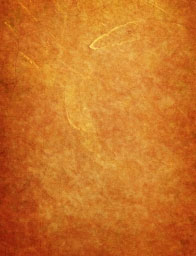 MailPoet Page