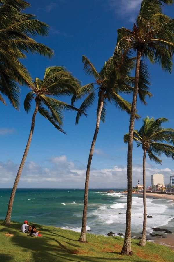 Praia da Barra | Salvador | Bahia | Brasil