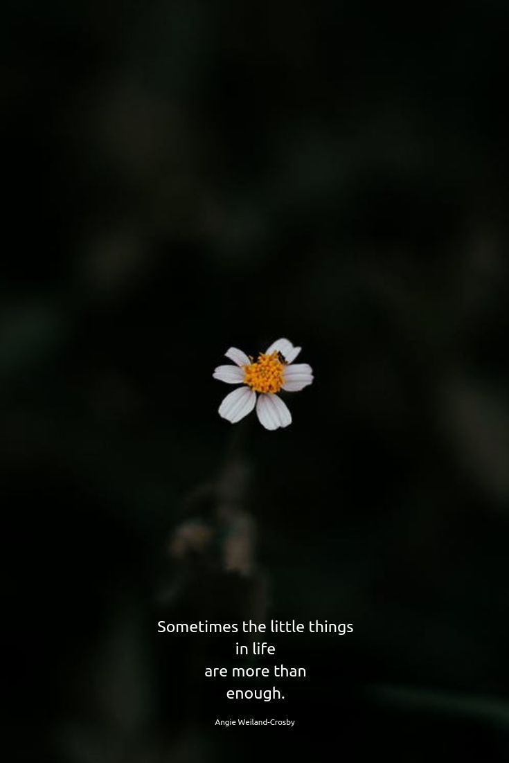 Time for Stillness | Momsoulsoothers