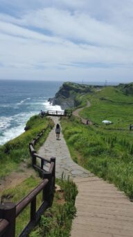 Jeju Travel Tips: All You Need to Know About Jeju