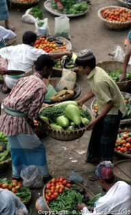 DHAKA KAWRAN BAZAAR VEGETABLE MARKET
